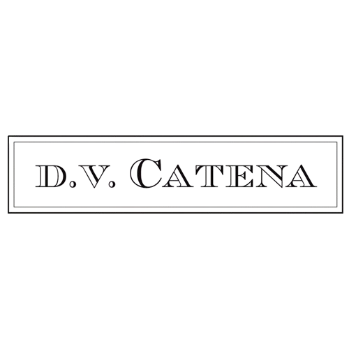 Dv Catena