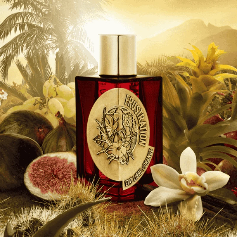 FRUSTRATION 100ML