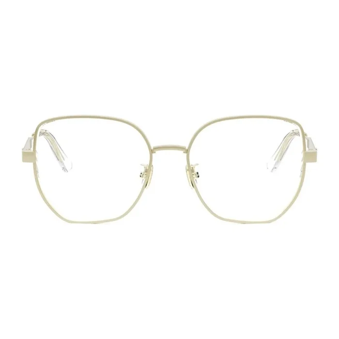 DIOR CANNAGEO B2U
