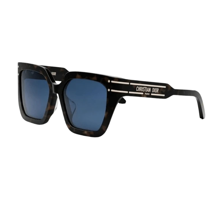 DIOR SIGNATURE S10F *20B0 #55